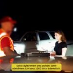 Melody marks - Gençlik Ateşi Türkçe Altyazılı Porno .mp4_000365098