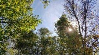 Kız ‌arkadaşınızla Gırtlak Sakso hakkında samimi bir‌ konuşma için 4 etkili öneri