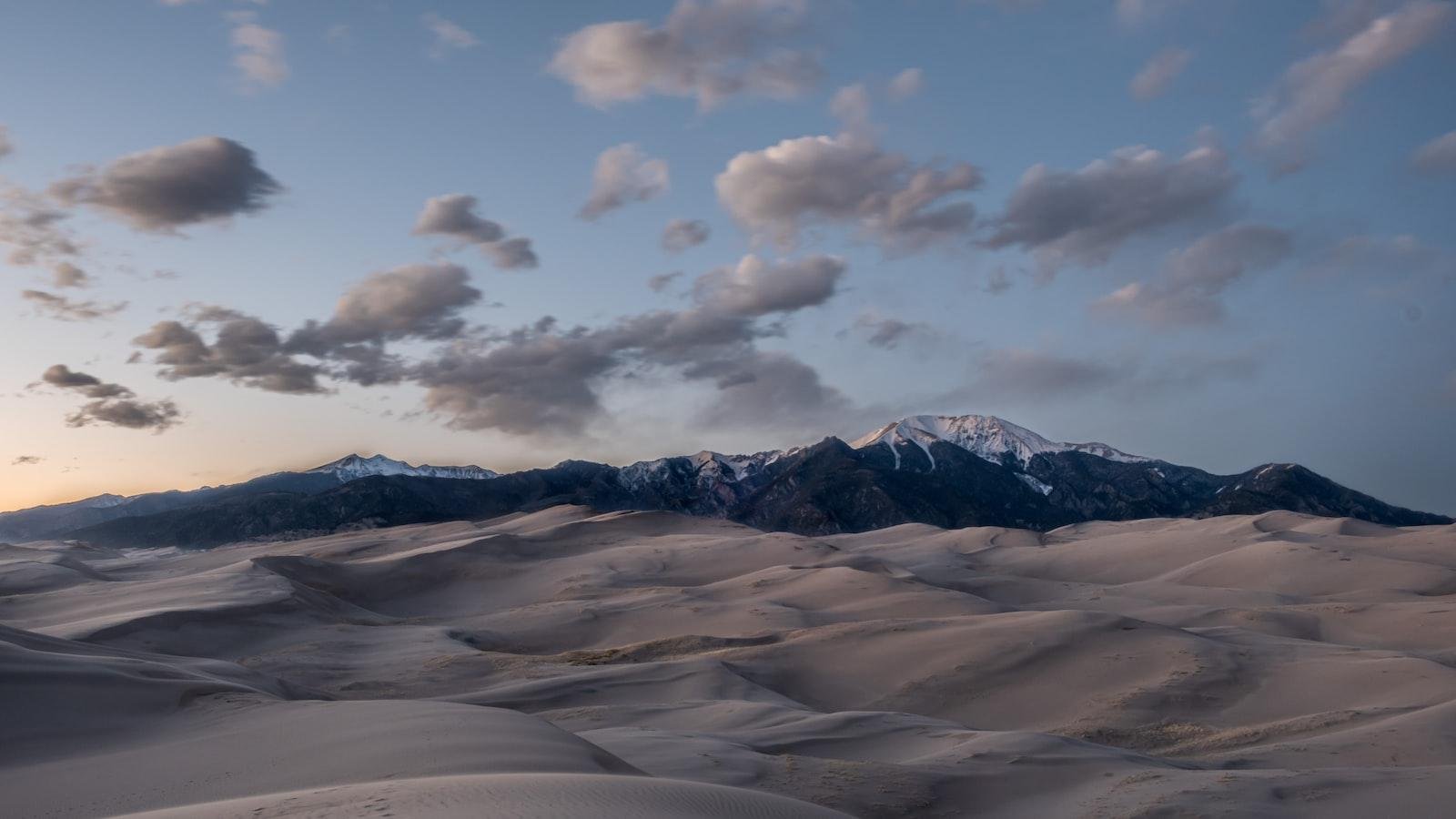 Preserving Professional Reputation: Strategies to Counteract the ⁢Threat of Blackmail