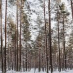 #49 Derin Gırtlaktan İpuçları, Seksi Eş Olmak ve Casey Donatello ile Erkeğinizi Sürerken Kendine Güvenmek