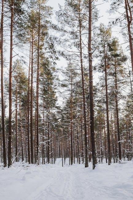#49 Derin Gırtlaktan İpuçları, Seksi Eş Olmak ve Casey Donatello ile Erkeğinizi Sürerken Kendine Güvenmek