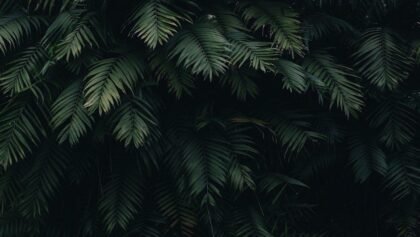 Çiftler için 22 Seksi ve Eğlenceli İçki Oyunları