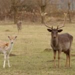Aldatma 101 Rehberi: Erkekler Neden Bundan Hoşlanır ve Bir Erkeği Nasıl Aldatabilirsiniz