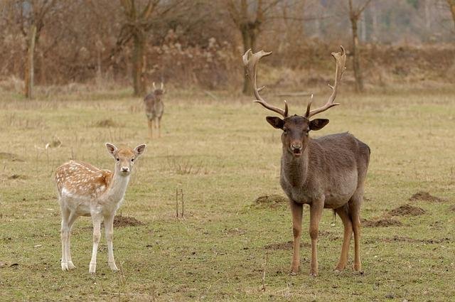 Aldatma 101 Rehberi: Erkekler Neden Bundan Hoşlanır ve Bir Erkeği Nasıl Aldatabilirsiniz