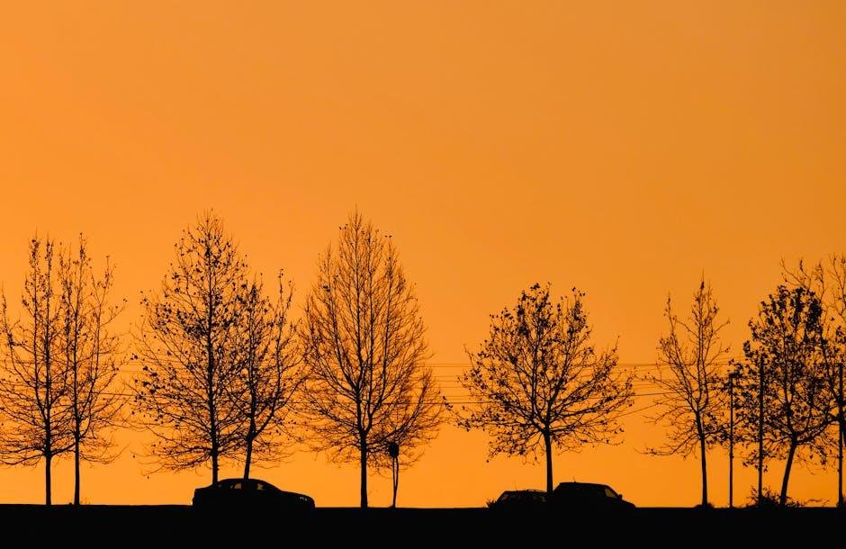 Farklı Pozisyonlar ve analiz